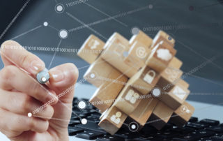 Networking Organization